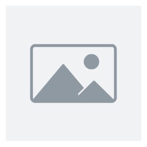 DEDIL TEJIDO INTERIOR GEL FEETPAD GL-105 T-L